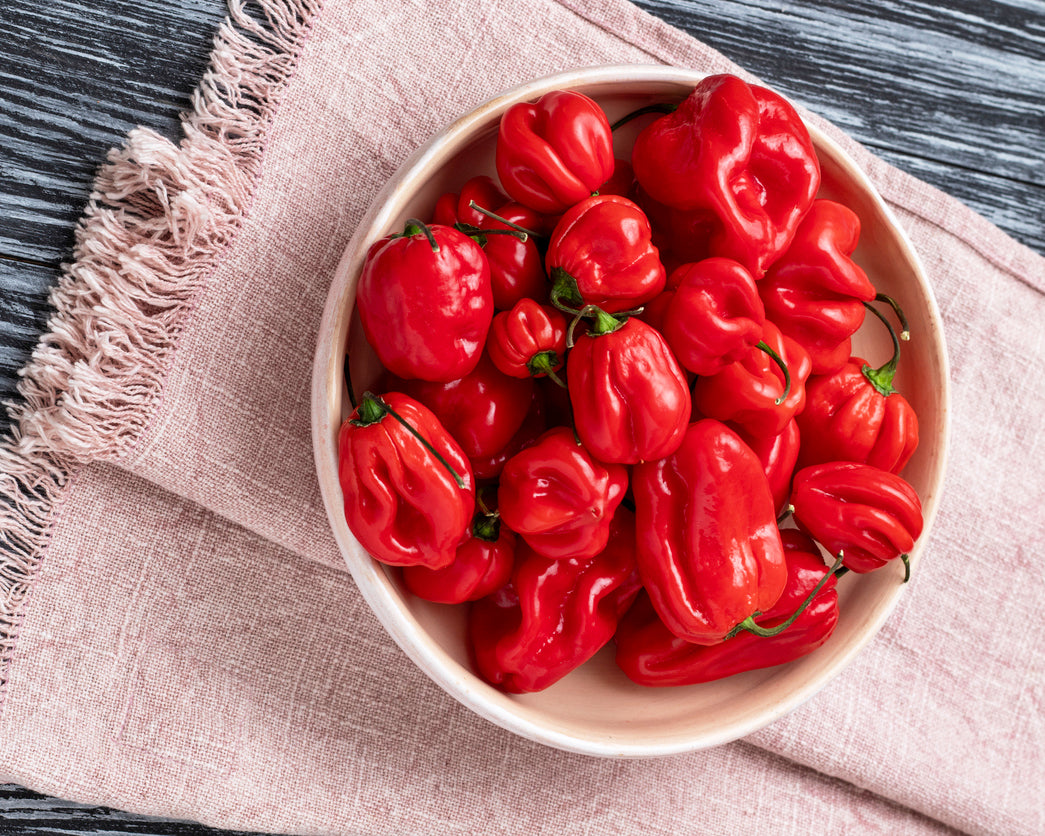 Pepper, Hot: Habanero- Red *Overstock*