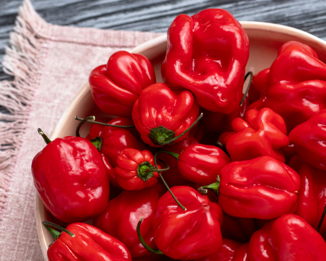 Pepper, Hot: Habanero- Red *Overstock*