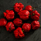 Pepper, Hot: Trinidad Moruga Scorpion- Red *Overstock*