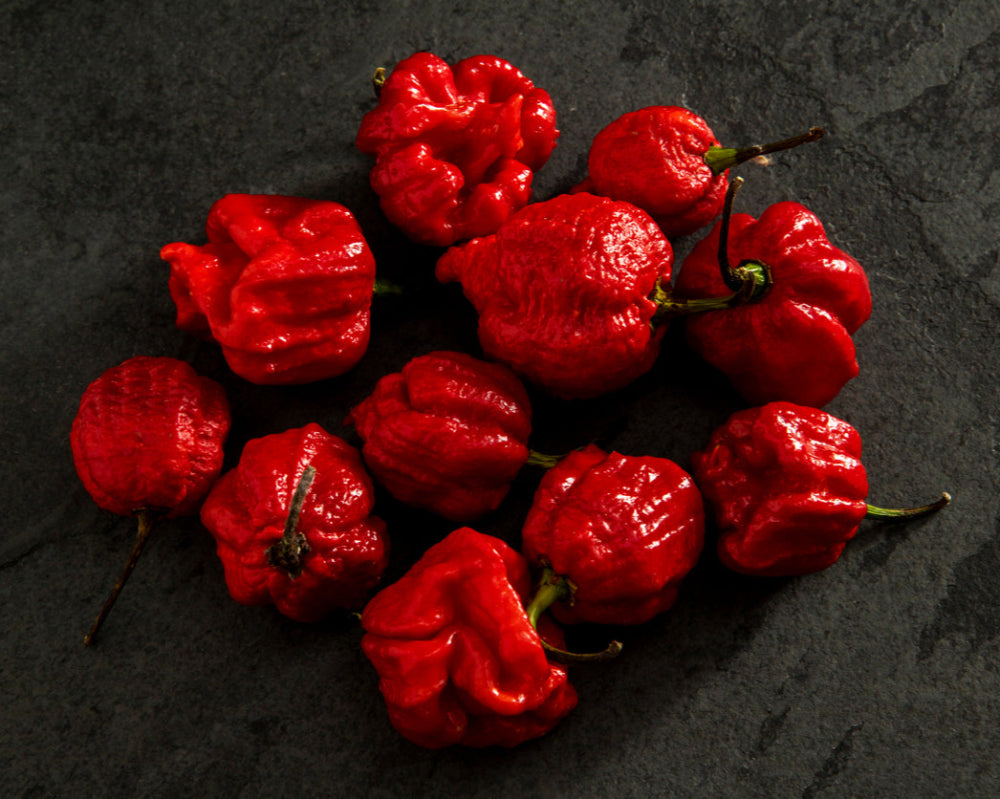 Pepper, Hot: Trinidad Moruga Scorpion- Red *Overstock*