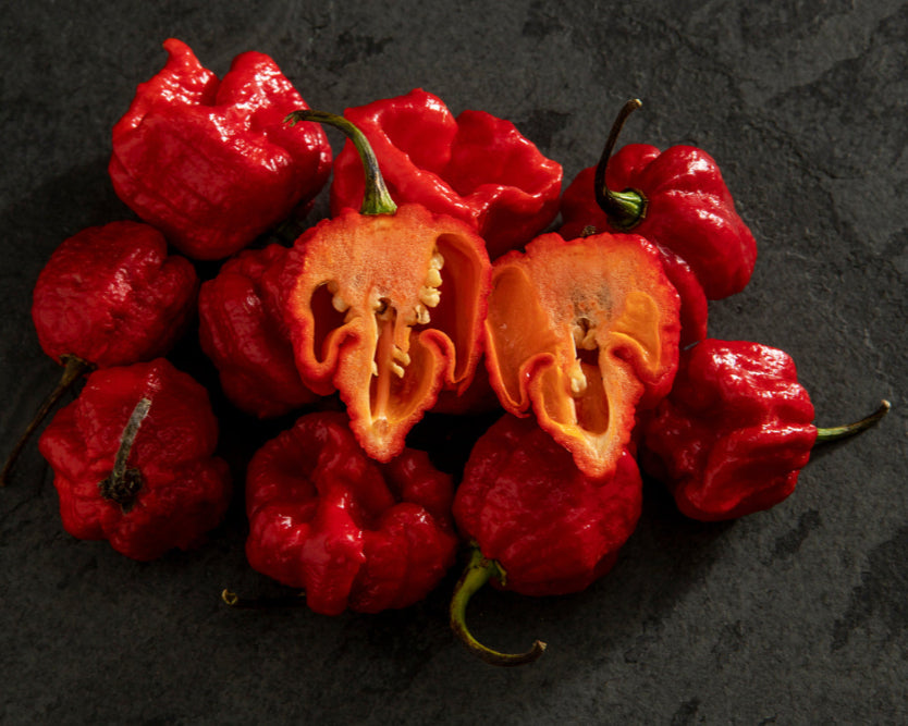 Pepper, Hot: Trinidad Moruga Scorpion- Red *Overstock*