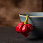 Pepper, Hot: Trinidad Moruga Scorpion- Red *Overstock*