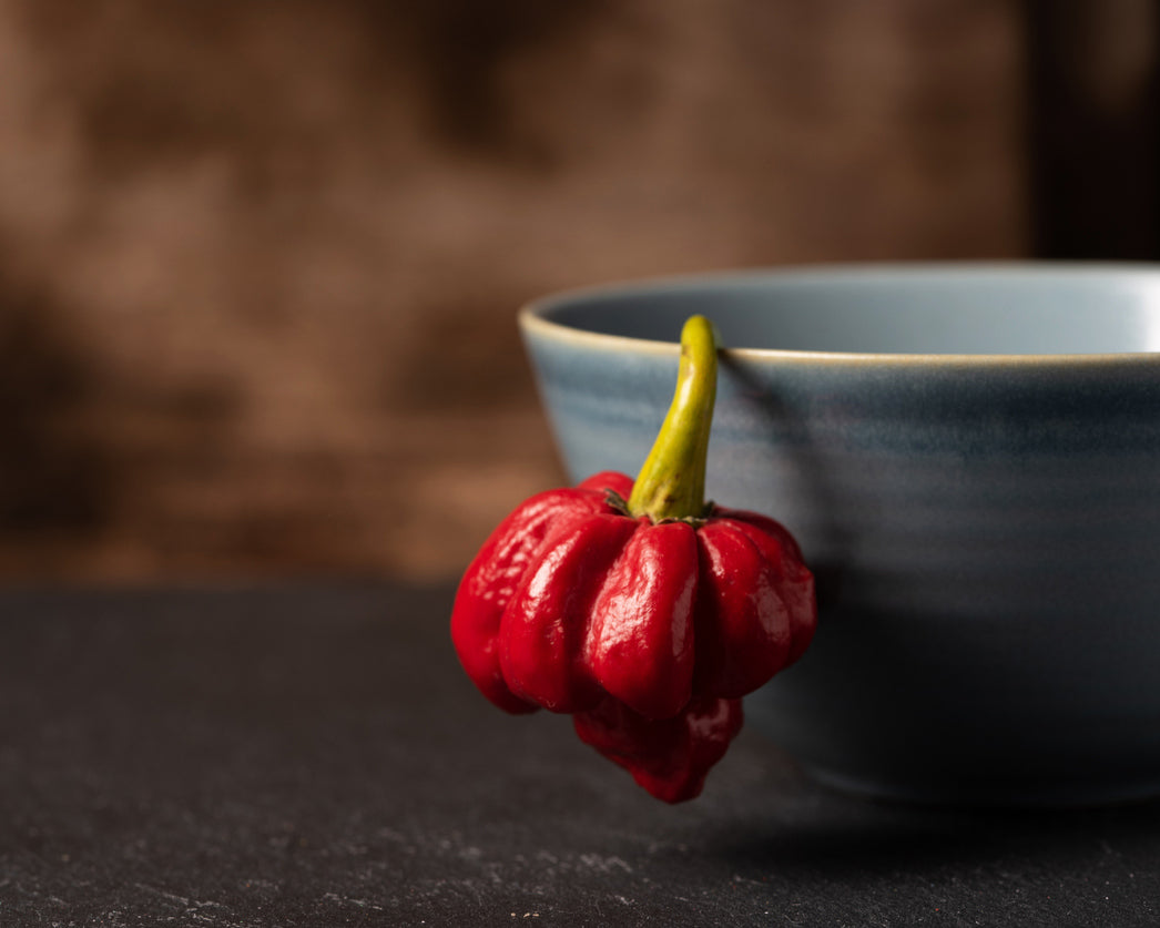 Pepper, Hot: Trinidad Moruga Scorpion- Red *Overstock*