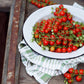 Tomato: World's smallest *Overstock*