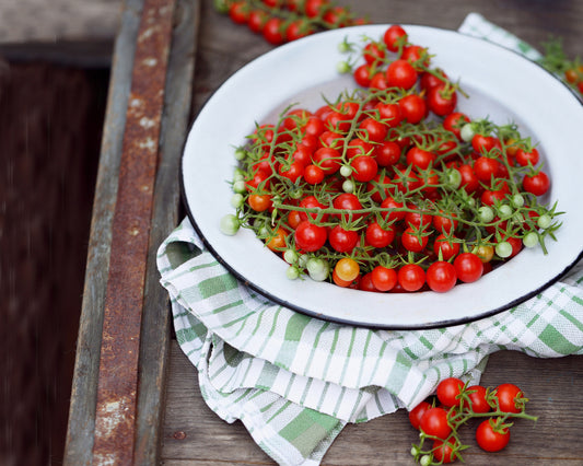 Tomato: World's smallest *Overstock*