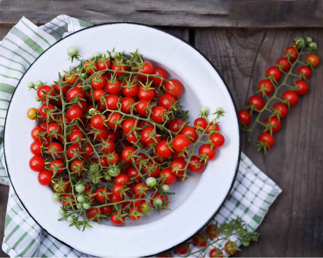 Tomato: World's smallest *Overstock*