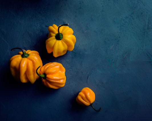 Pepper, Hot: Habanero- Yellow *Overstock*