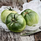 Tomato: Cherokee Green