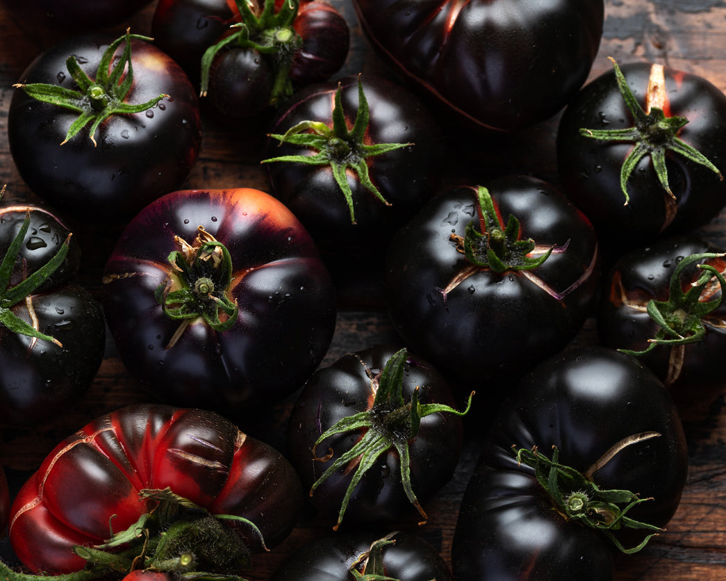 Tomato: Black Beauty