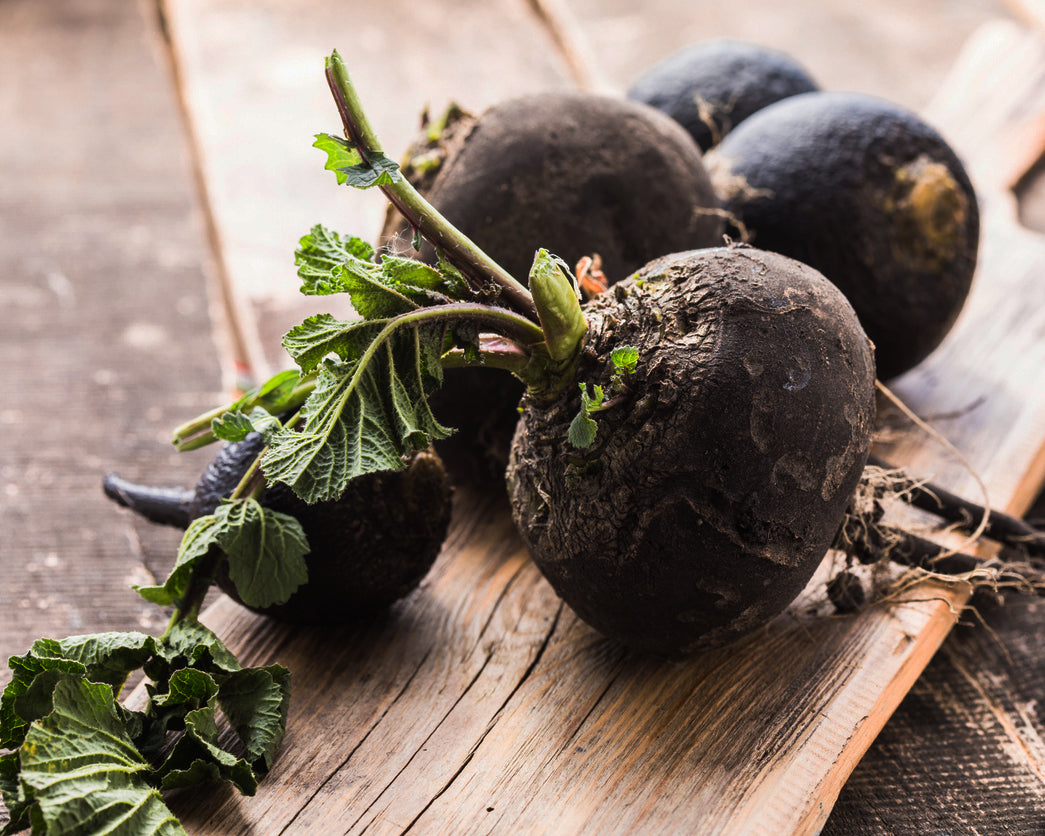 Radish: Black Spanish