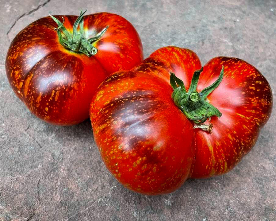 Tomato: Patriot Slicer Mix