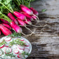 Radish: French Breakfast