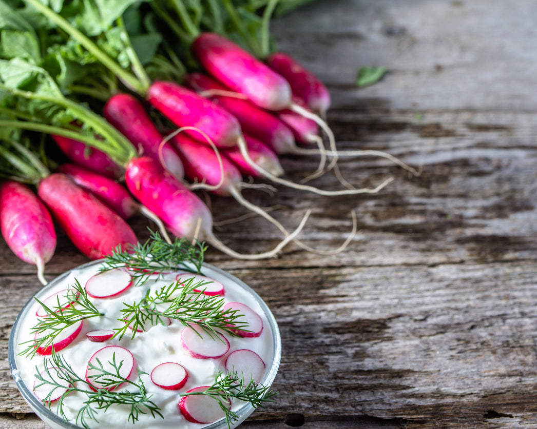 Radish: French Breakfast