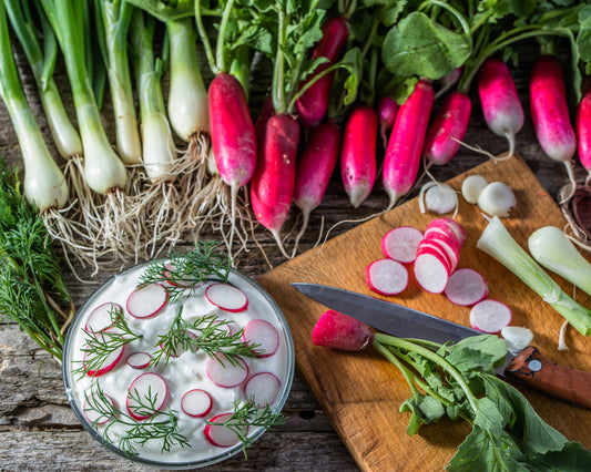 Radish: French Breakfast