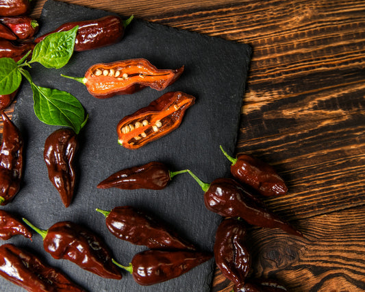 Pepper, Hot: Habanero- Chocolate