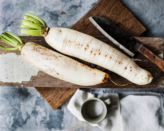 Radish: Japanese Minowase Daikon