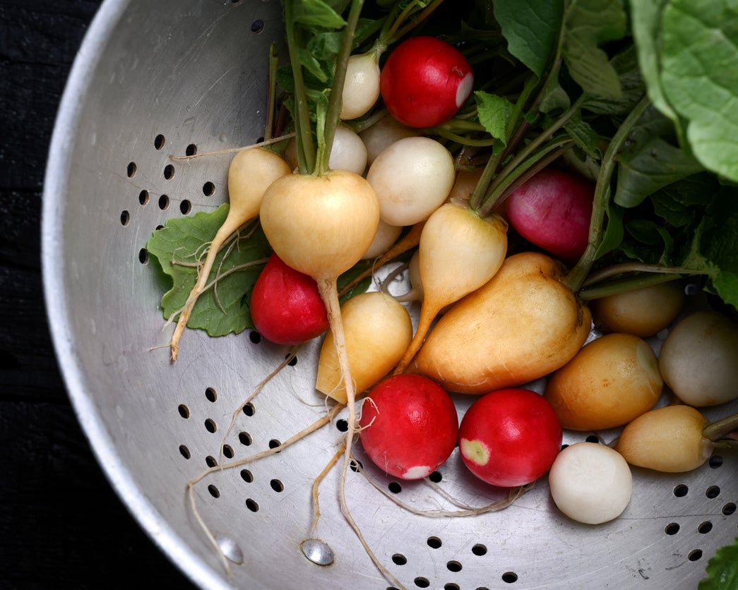 Radish: Fiesta Blend