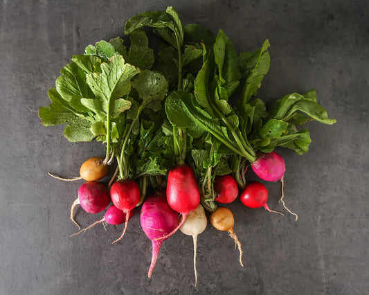 Radish: Fiesta Blend