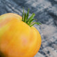 Tomato: Garden Peach