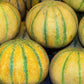 Melon: Ha'Ogen