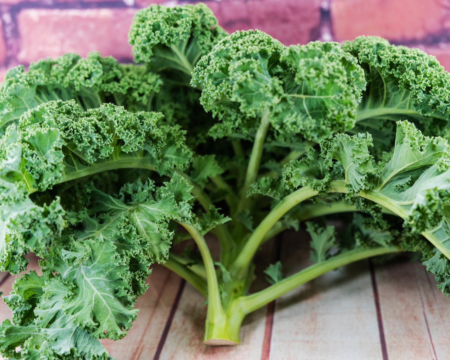 Kale: Tri-colored Mix
