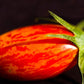 Tomato: Matt's Hornet