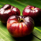 Tomato: Mlle Foriers