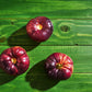 Tomato: Mlle Foriers