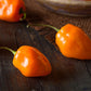 Pepper, Hot: Habanero- Orange