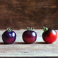 Tomato: Painted Pink