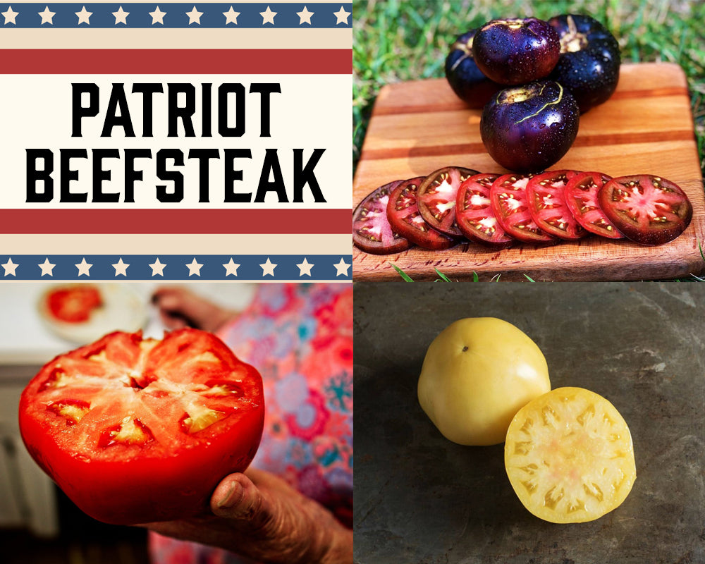 Tomato: Patriot Beefsteak Mix