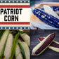 Corn: Patriot Mix