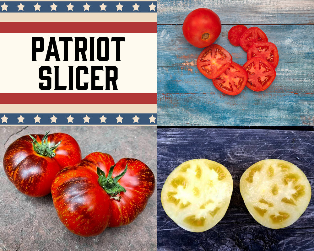 Tomato: Patriot Slicer Mix