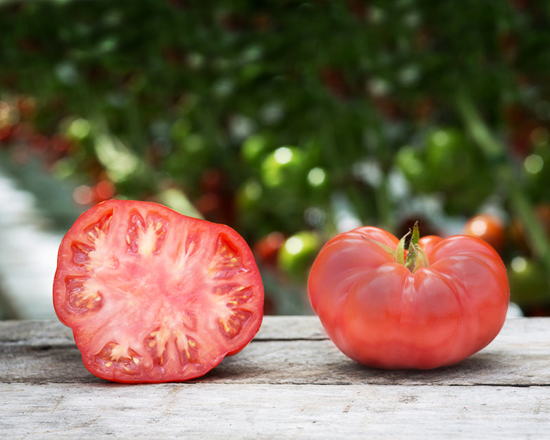 Tomato: Pink Beefsteak