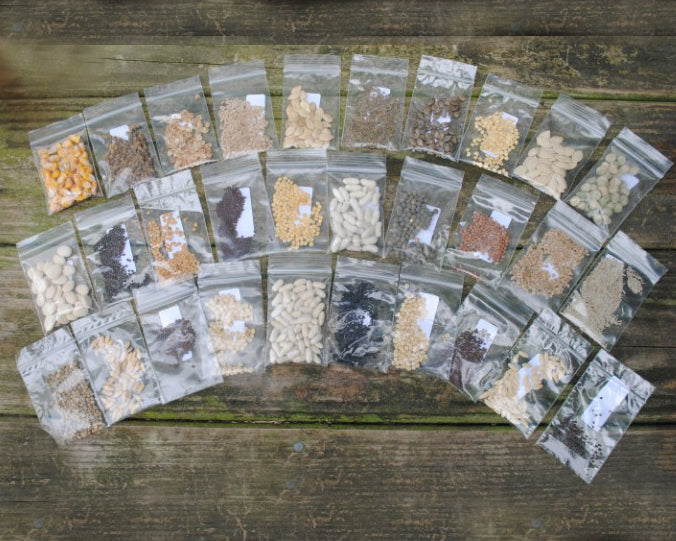 Seed Storage Bag 10-pack