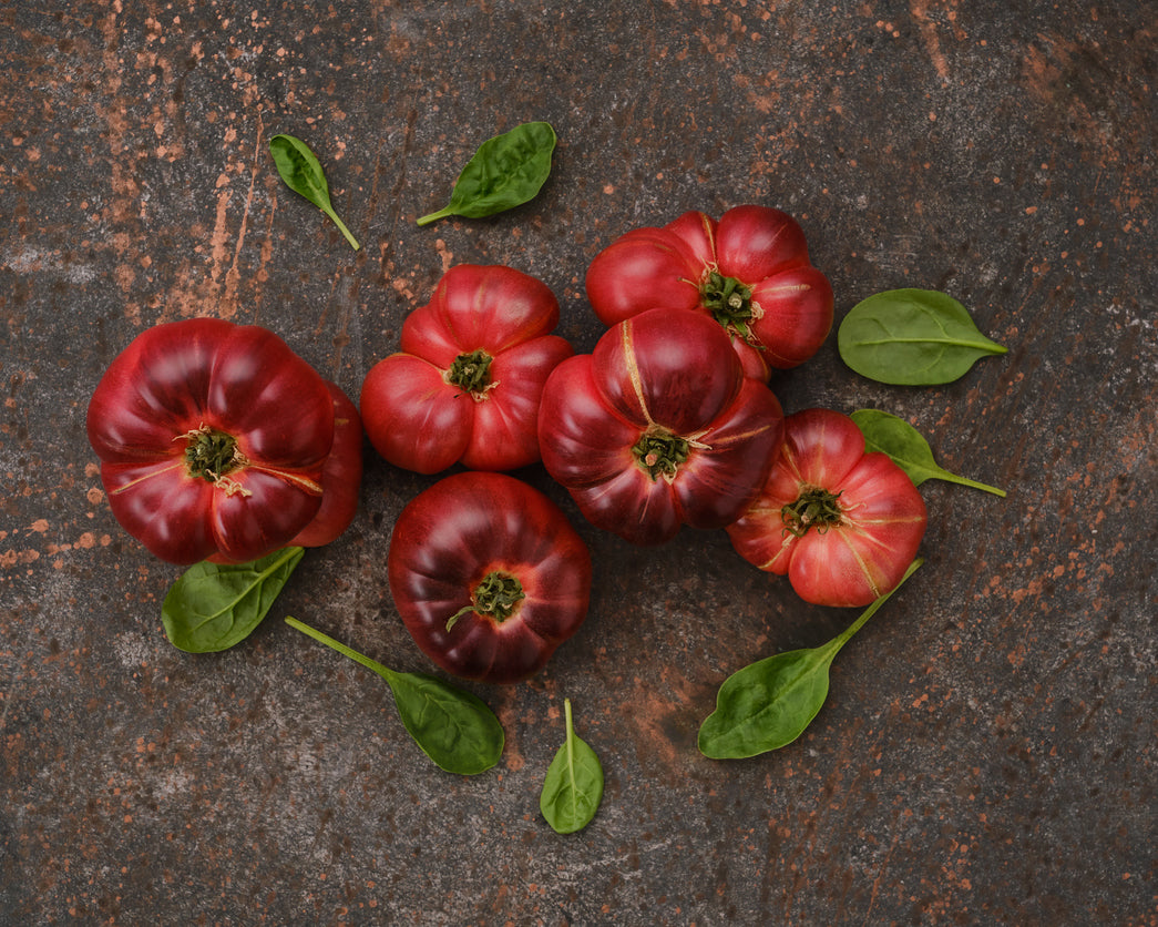 Tomato: Red Beauty