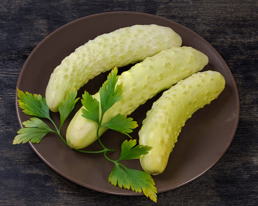 Cucumber: White Wonder