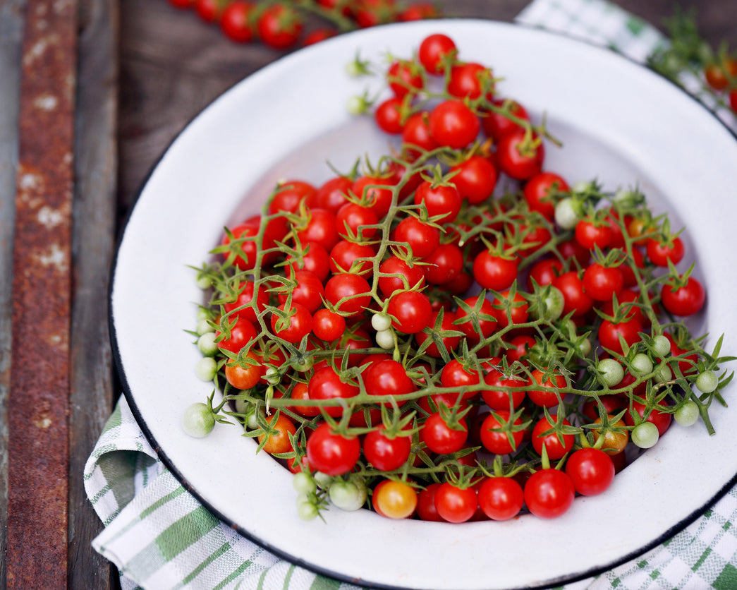 Tomato: World's smallest *Overstock*