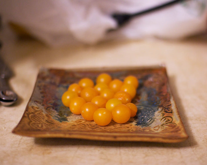 Coyote Tomato