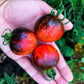 Tomato Seeds: Dark Galaxy