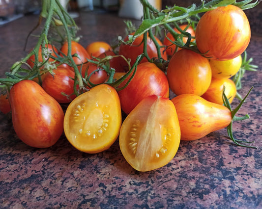 Tomato Seeds: Lucfichoise