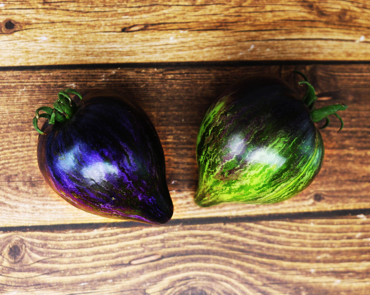 Tomato Rebel Starfighter Prime Vintage Seed Co.