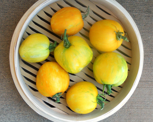 Tomato: Yellow Furry Boar