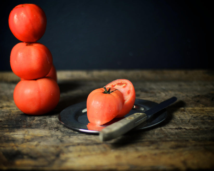 Ace 55 Tomato