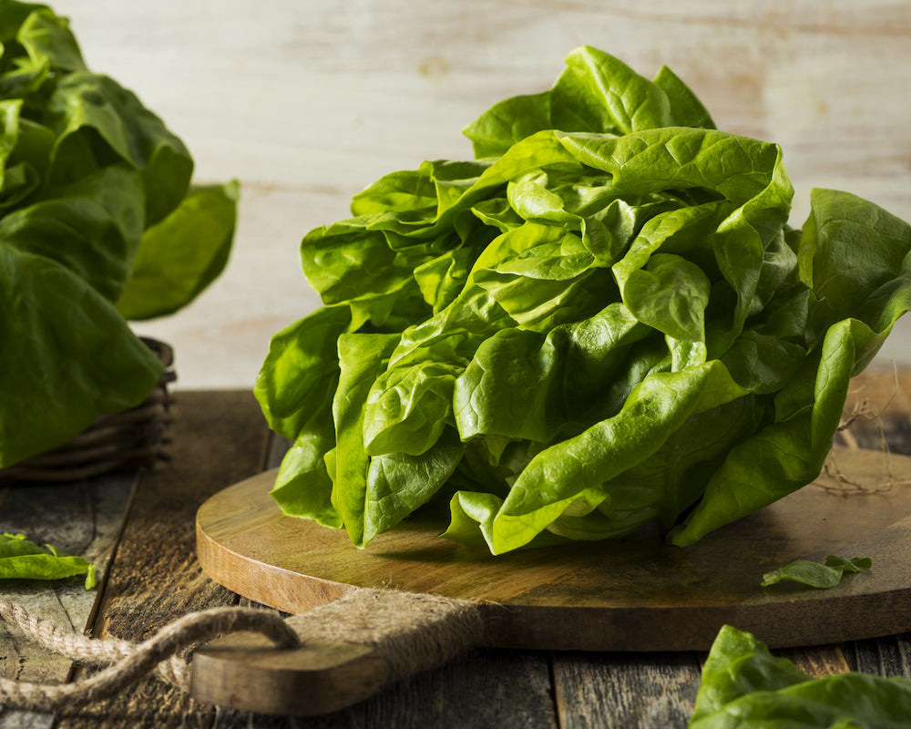 Lettuce: All Year Round