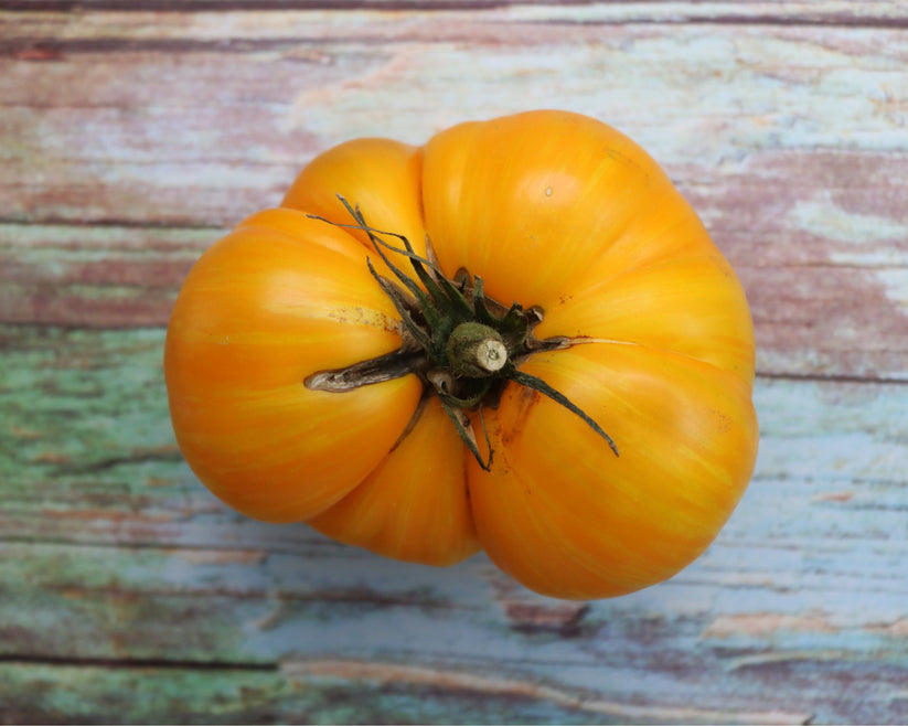 Big Yellow Zebra Tomato