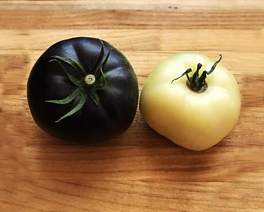 Tomato Seeds: Great White