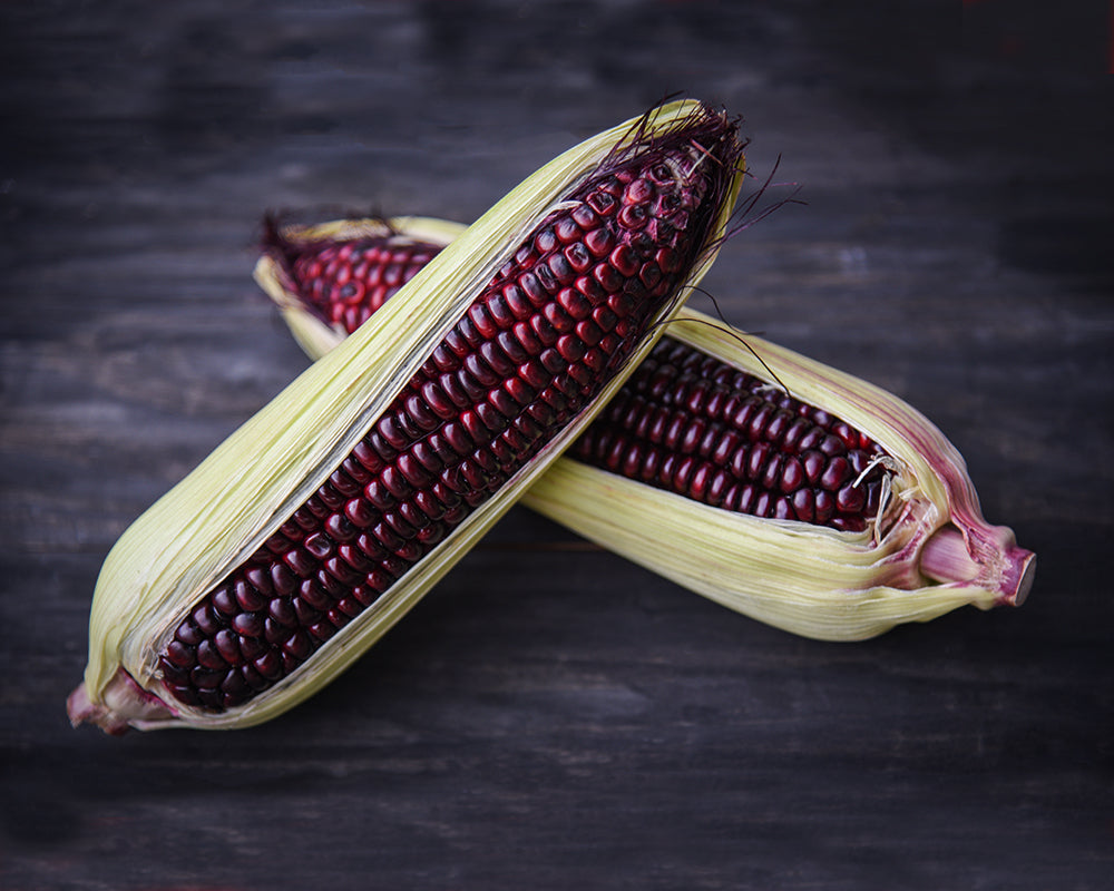 Corn: Bloody Butcher