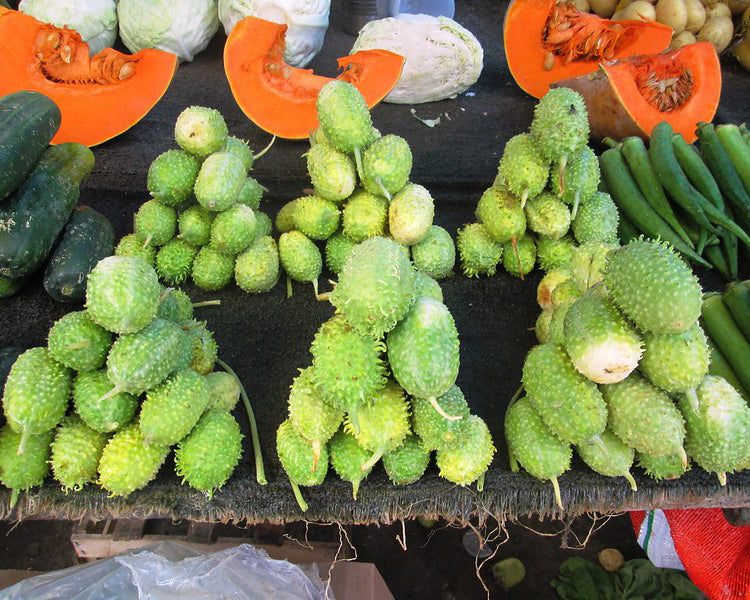 Cucumber: West Indian Burr Gherkin