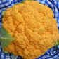 Cauliflower: Clementine